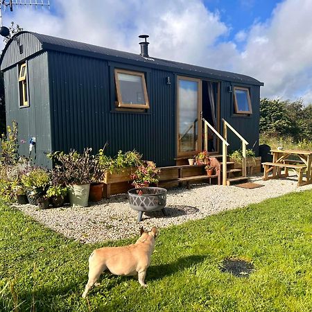 Luxury Shepherd Hut In The Peak District Bakewell Ngoại thất bức ảnh