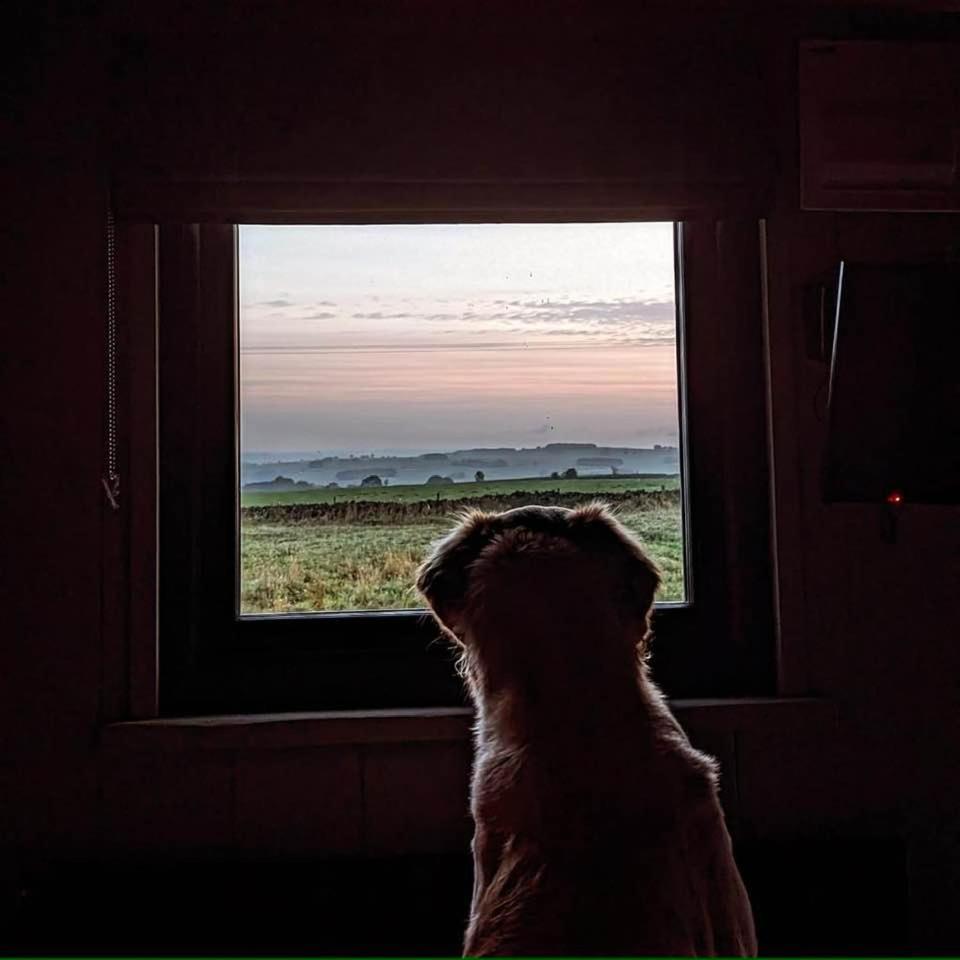 Luxury Shepherd Hut In The Peak District Bakewell Ngoại thất bức ảnh